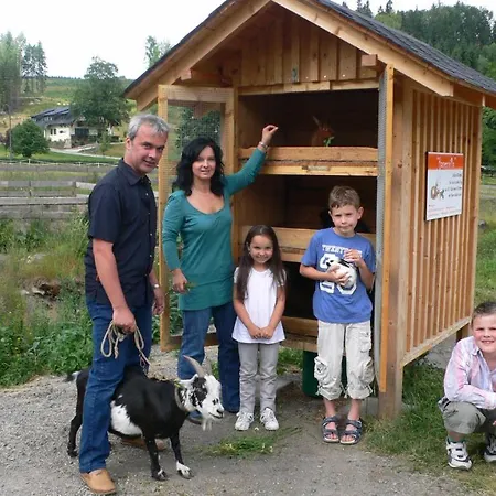 Hotel Alte Schleiferei 4*