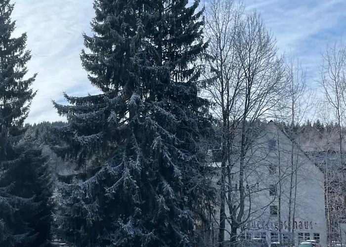 ホテル Alte Schleiferei